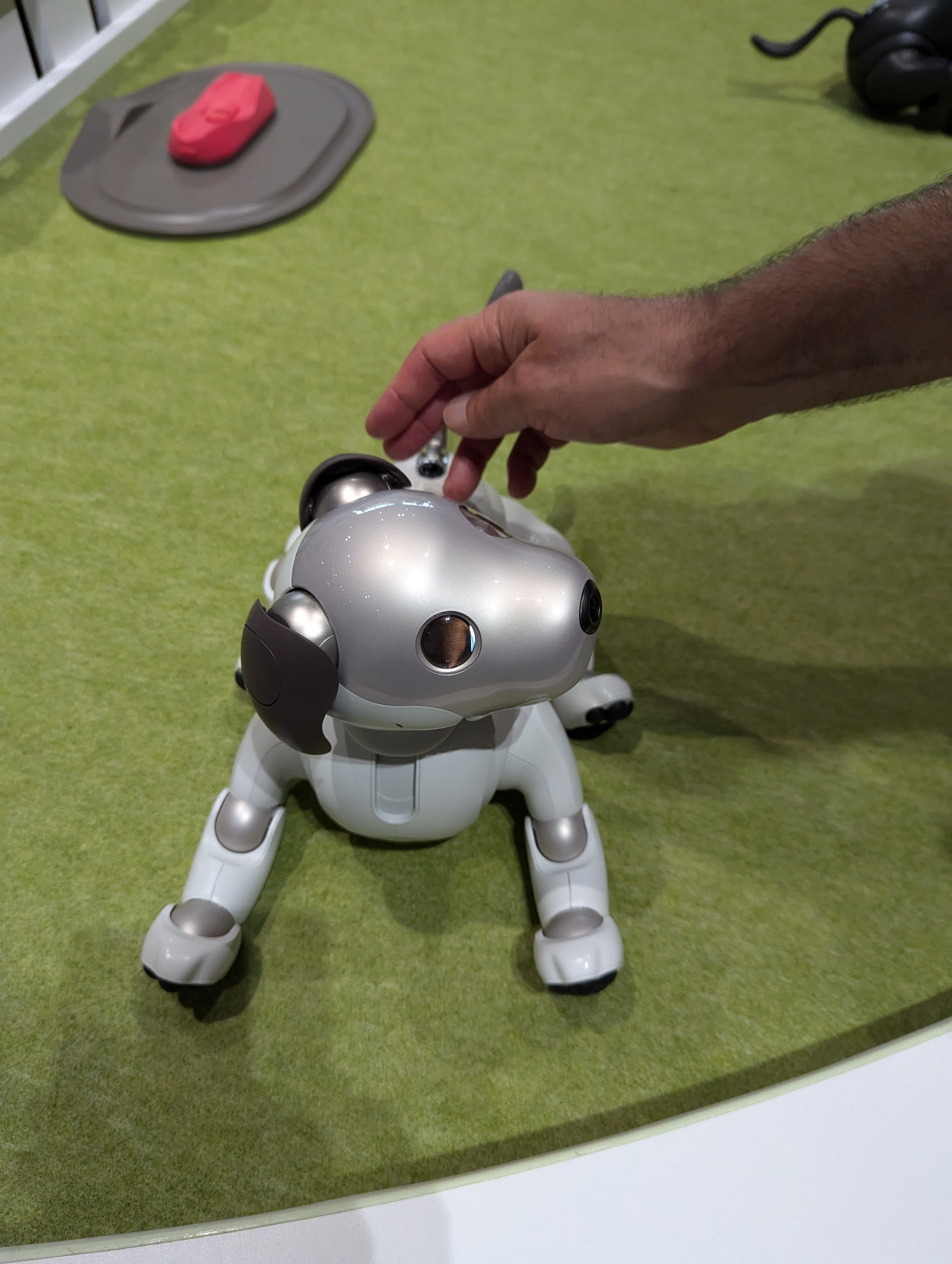 Sony's robot dog